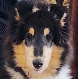 Meet your Posher, Stacy